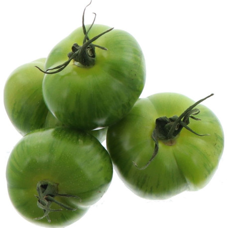 BIO TOMATE GREEN ZEBRA MOSELLE KG